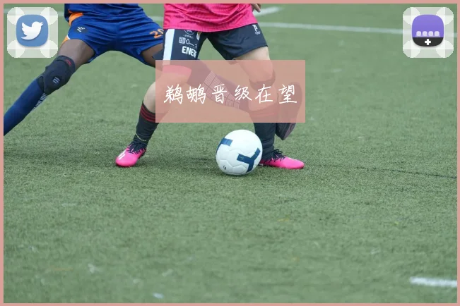 鹈鹕晋级在望