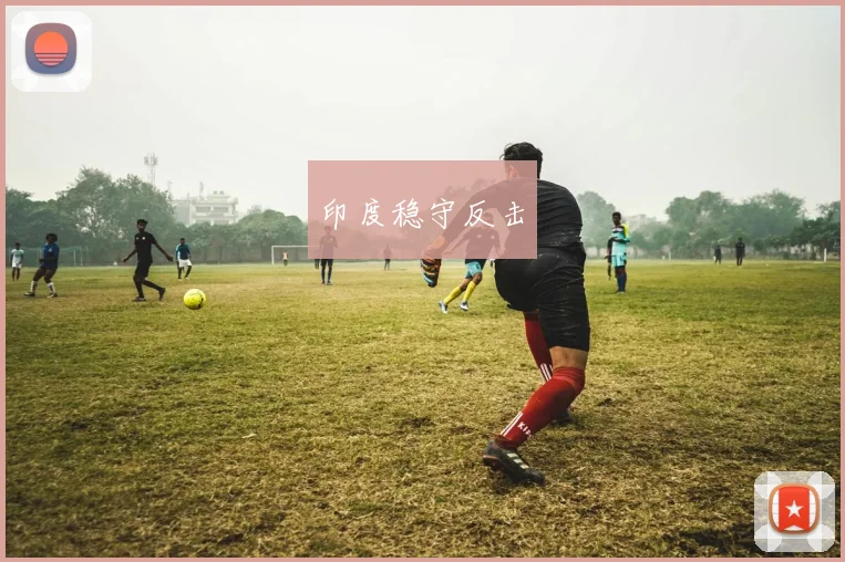 印度稳守反击