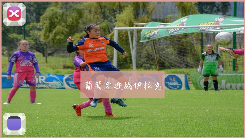 葡萄牙迎战伊拉克