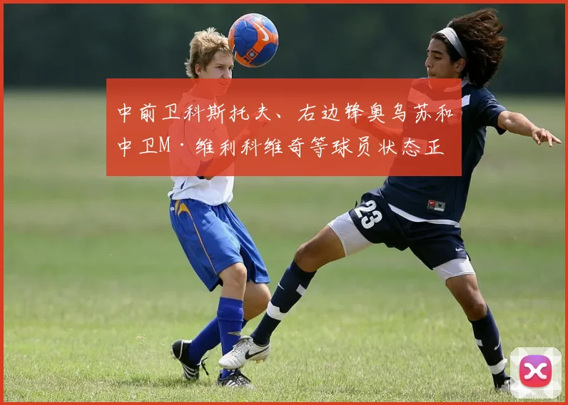 中前卫科斯托夫、右边锋奥乌苏和中卫M·维利科维奇等球员状态正佳