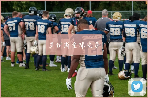 罗伊斯金球之争