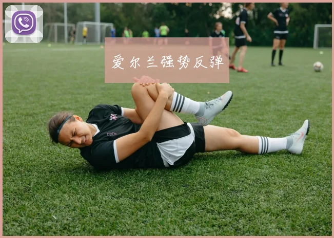 爱尔兰强势反弹