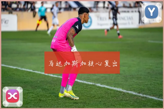 马达加斯加核心复出