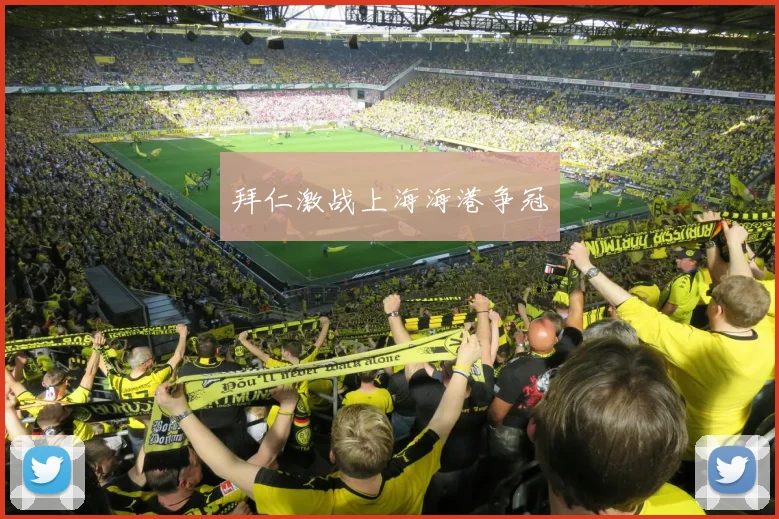 拜仁激战上海海港争冠