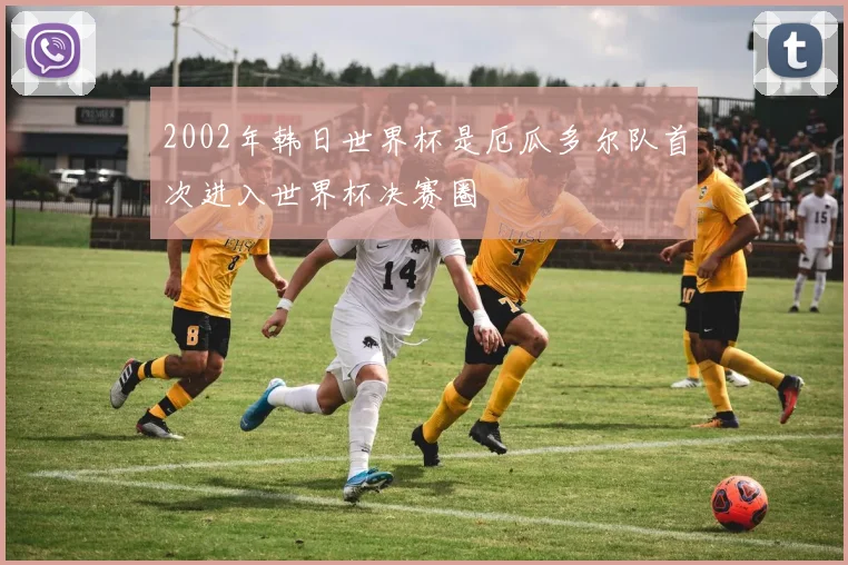 2002年韩日世界杯是厄瓜多尔队首次进入世界杯决赛圈