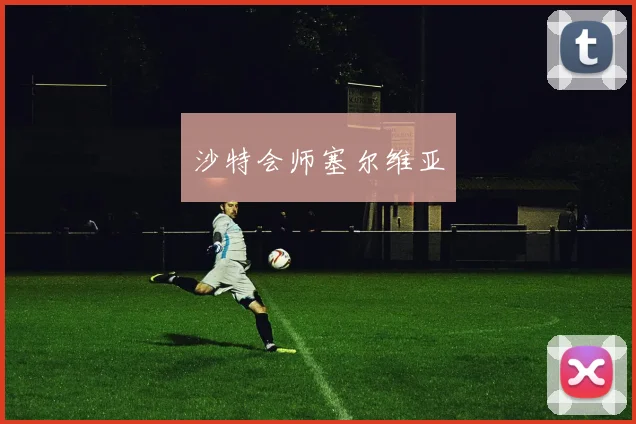 沙特会师塞尔维亚