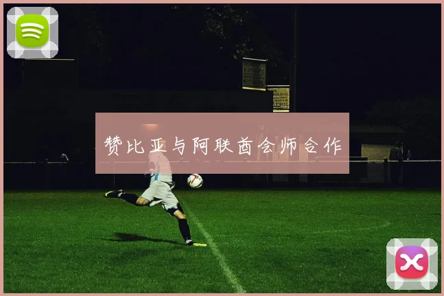 赞比亚与阿联酋会师合作