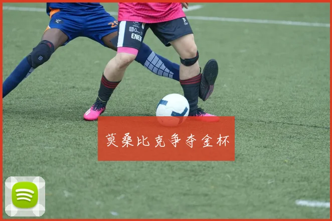 莫桑比克争夺金杯