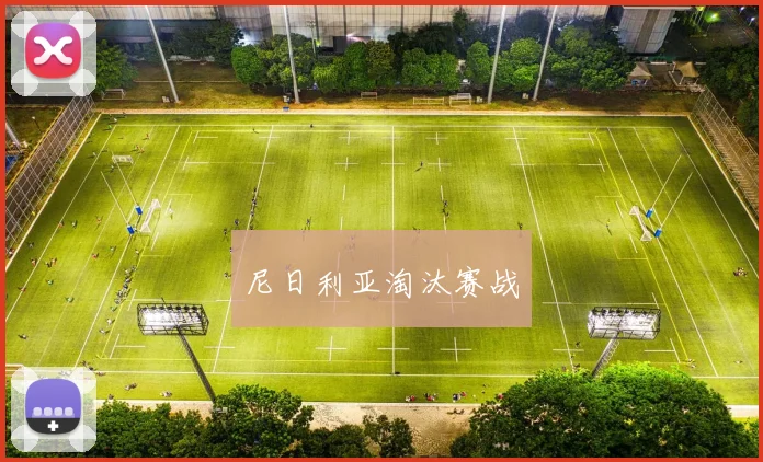 尼日利亚淘汰赛战