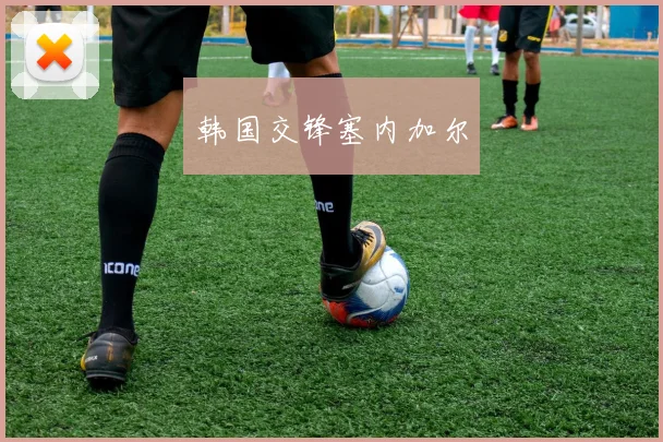 韩国交锋塞内加尔