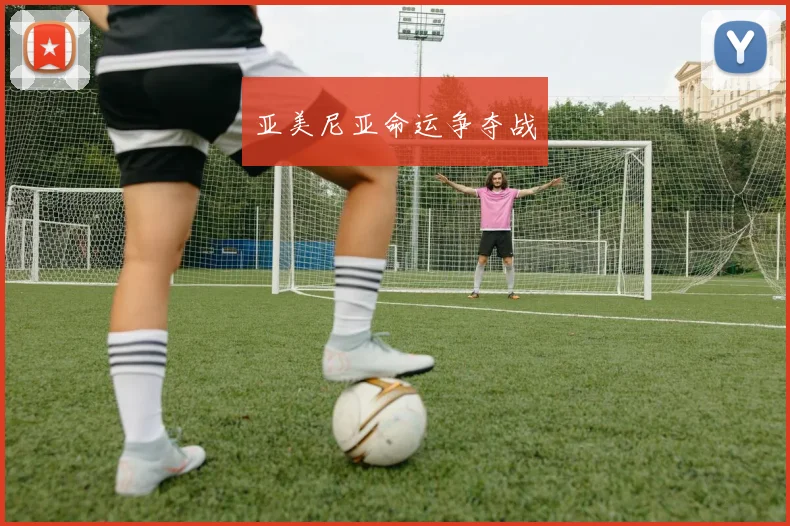 亚美尼亚命运争夺战