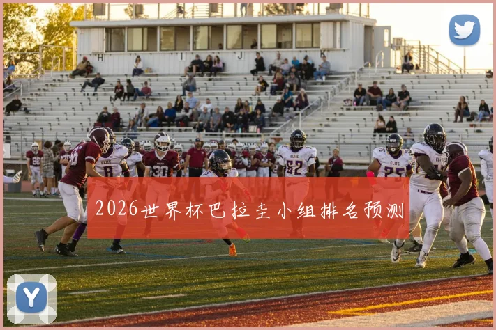 2026世界杯巴拉圭小组排名预测